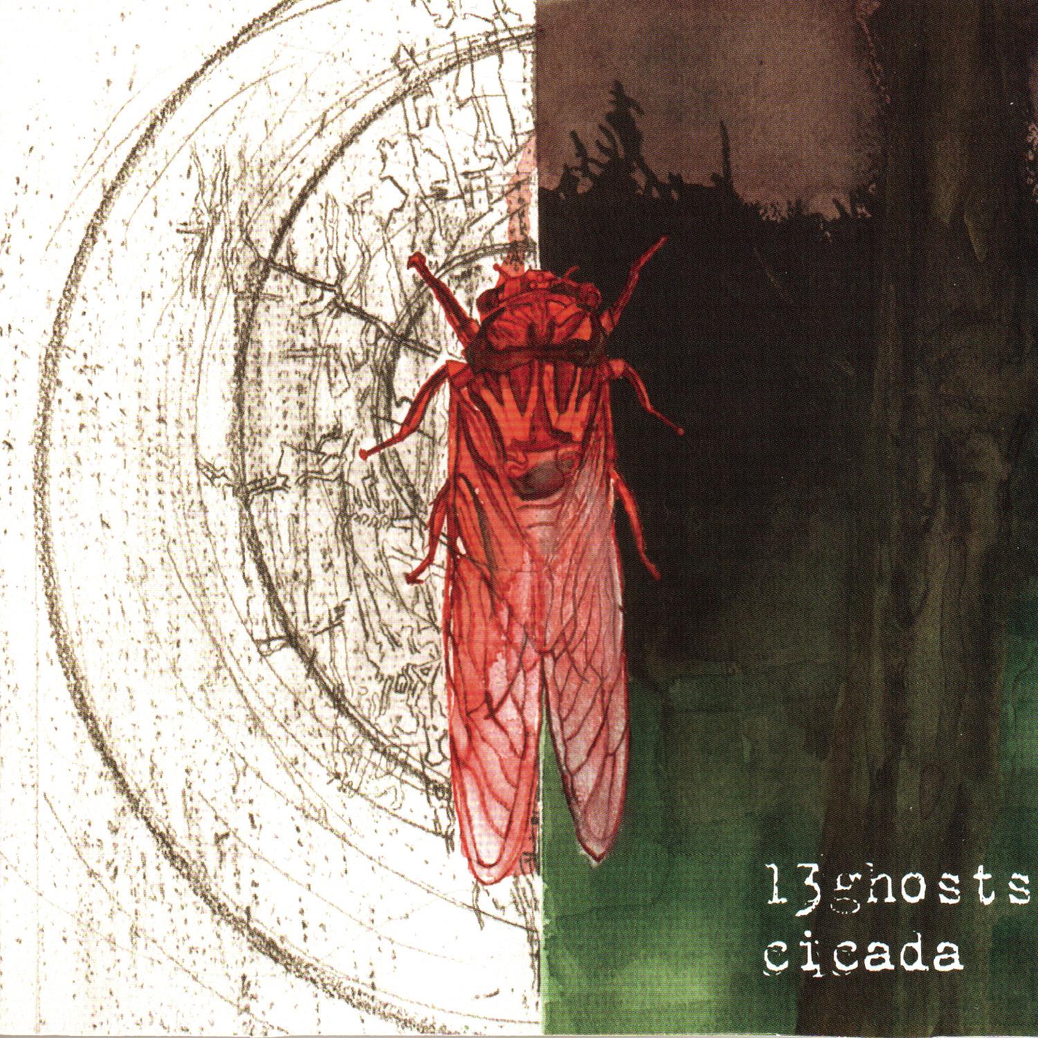 Cicada