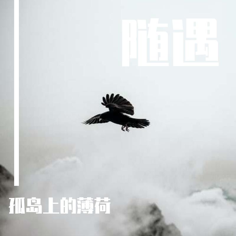 沈熙-注定孤独终老（孤岛上的薄荷 remix）