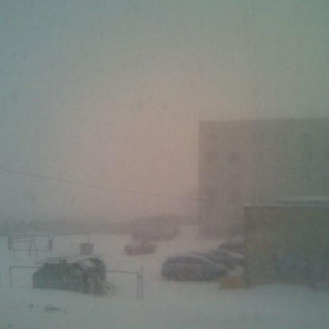 suicide as an art form