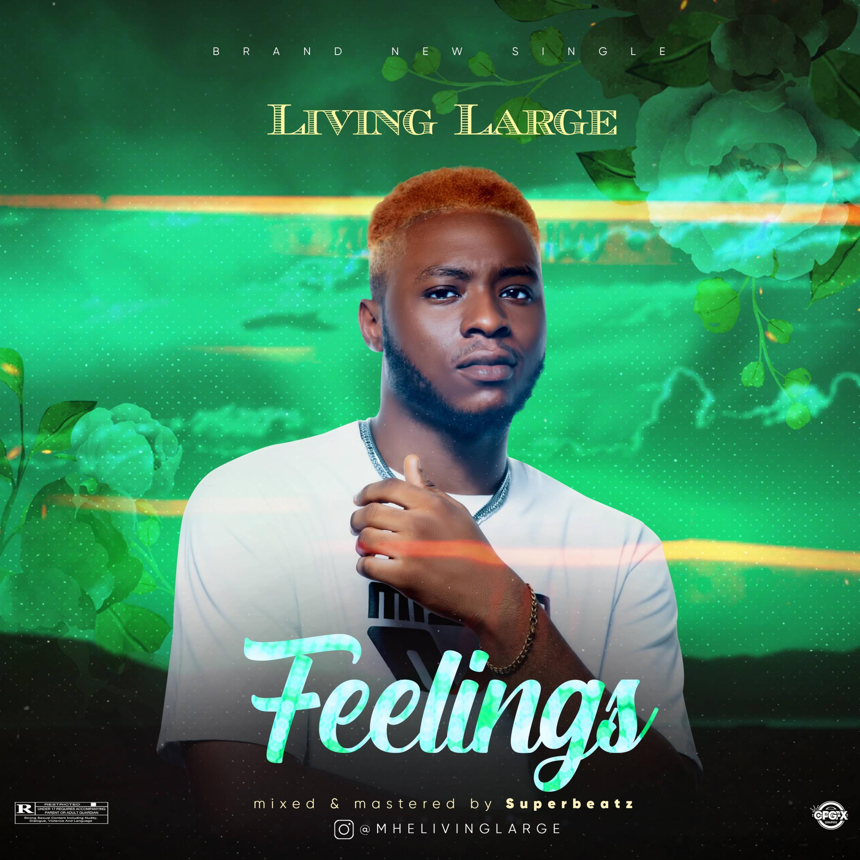 Feelings