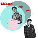 Wake me up专辑