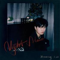 雷博茗 - Night Alone 伴奏