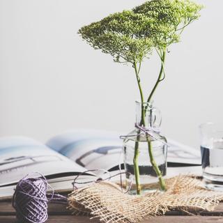 本人写作业学习歌单