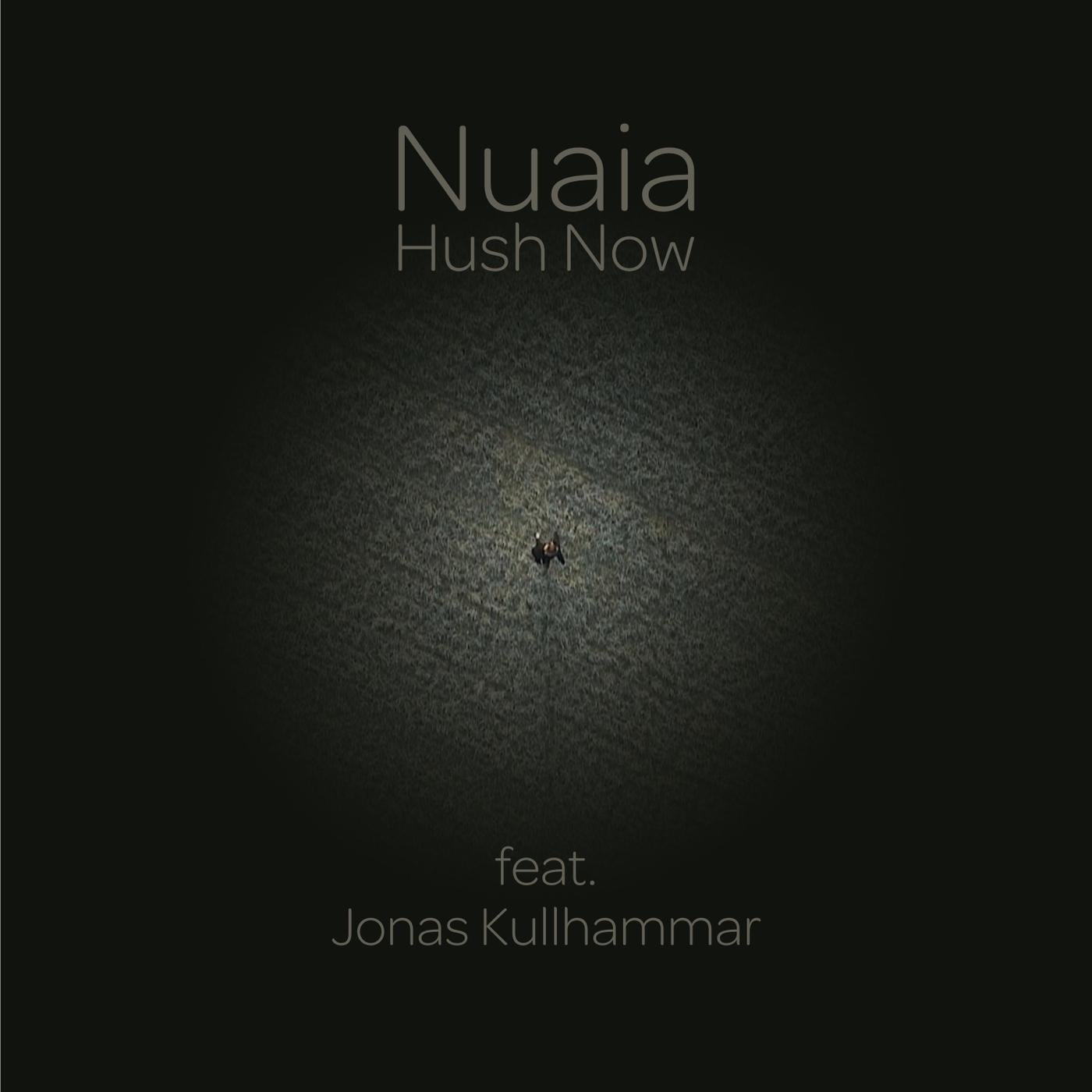 Hush Now (feat. Jonas Kullhammar)
