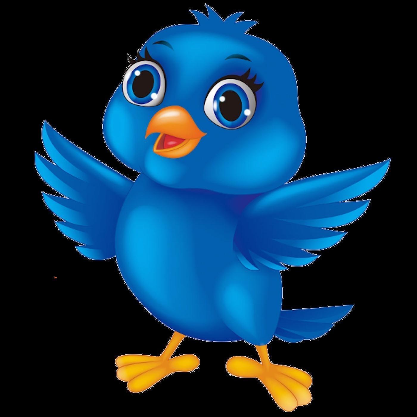 Magic Birds