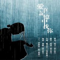 爱在记忆里(女伴奏、塞北的雪ok和声)(张宏凯、枫桥原创)