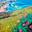 YOUNGX-