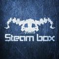 Steam box