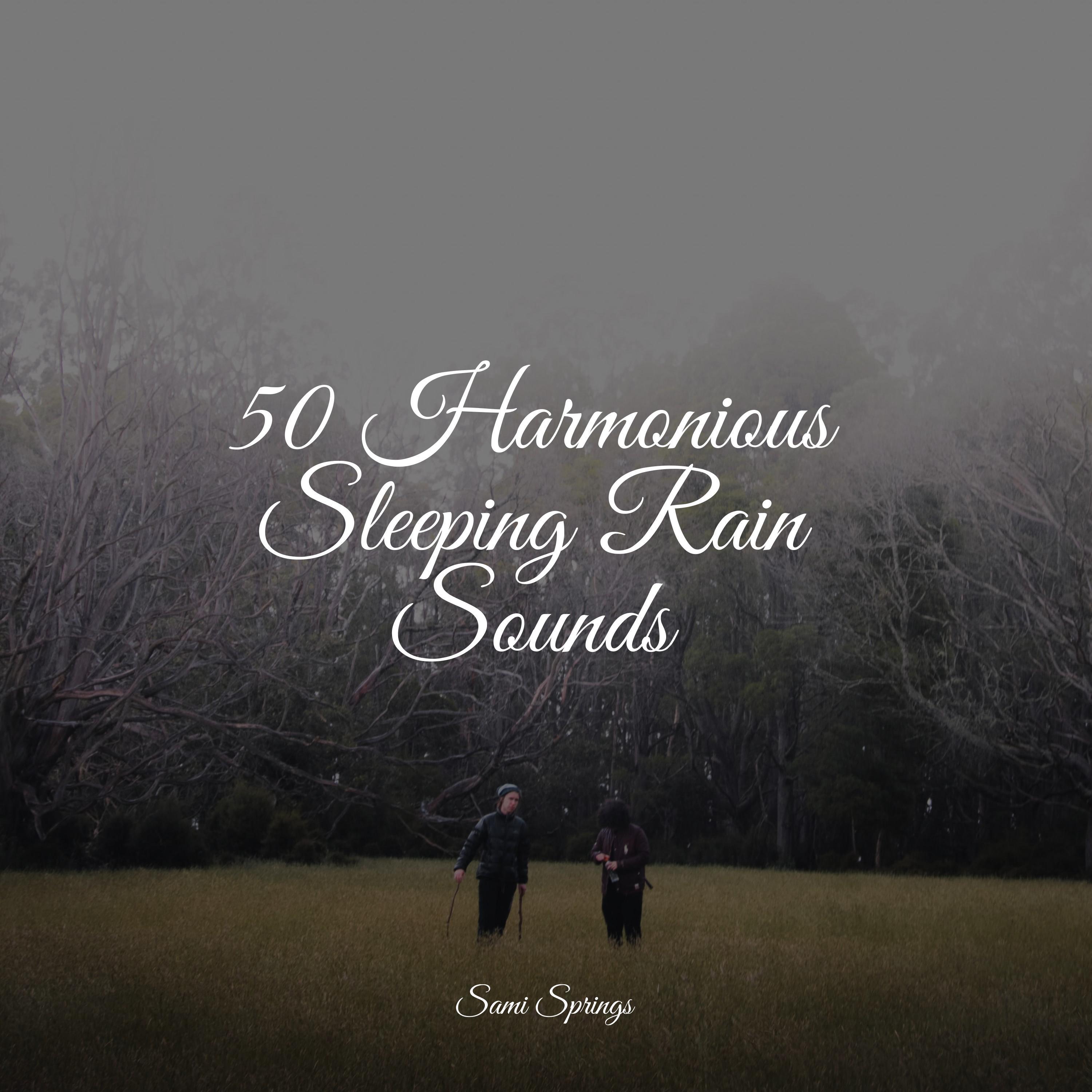 50 Harmonious Sleeping Rain Sounds