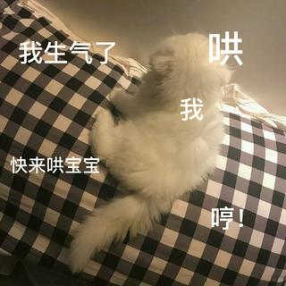 丧