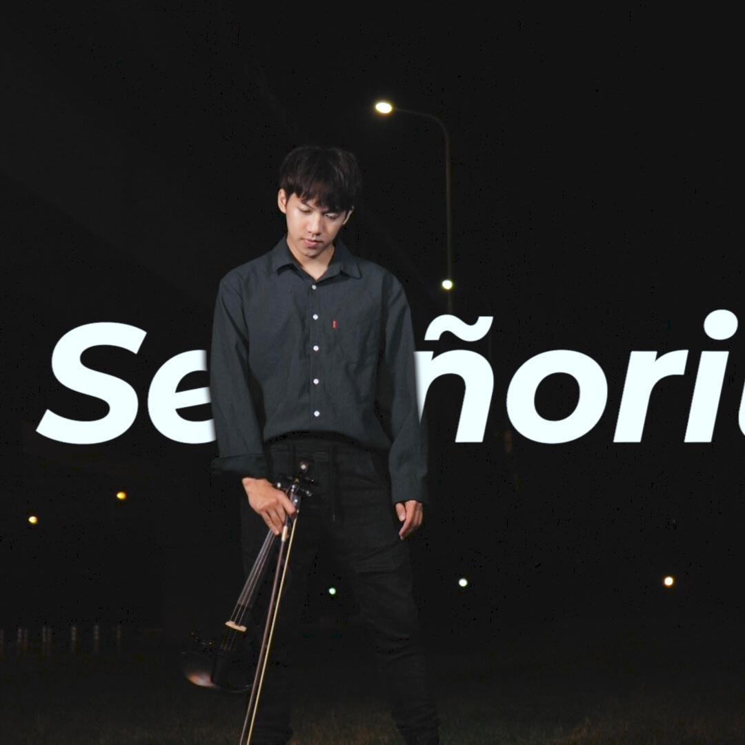 senorita 小提琴版