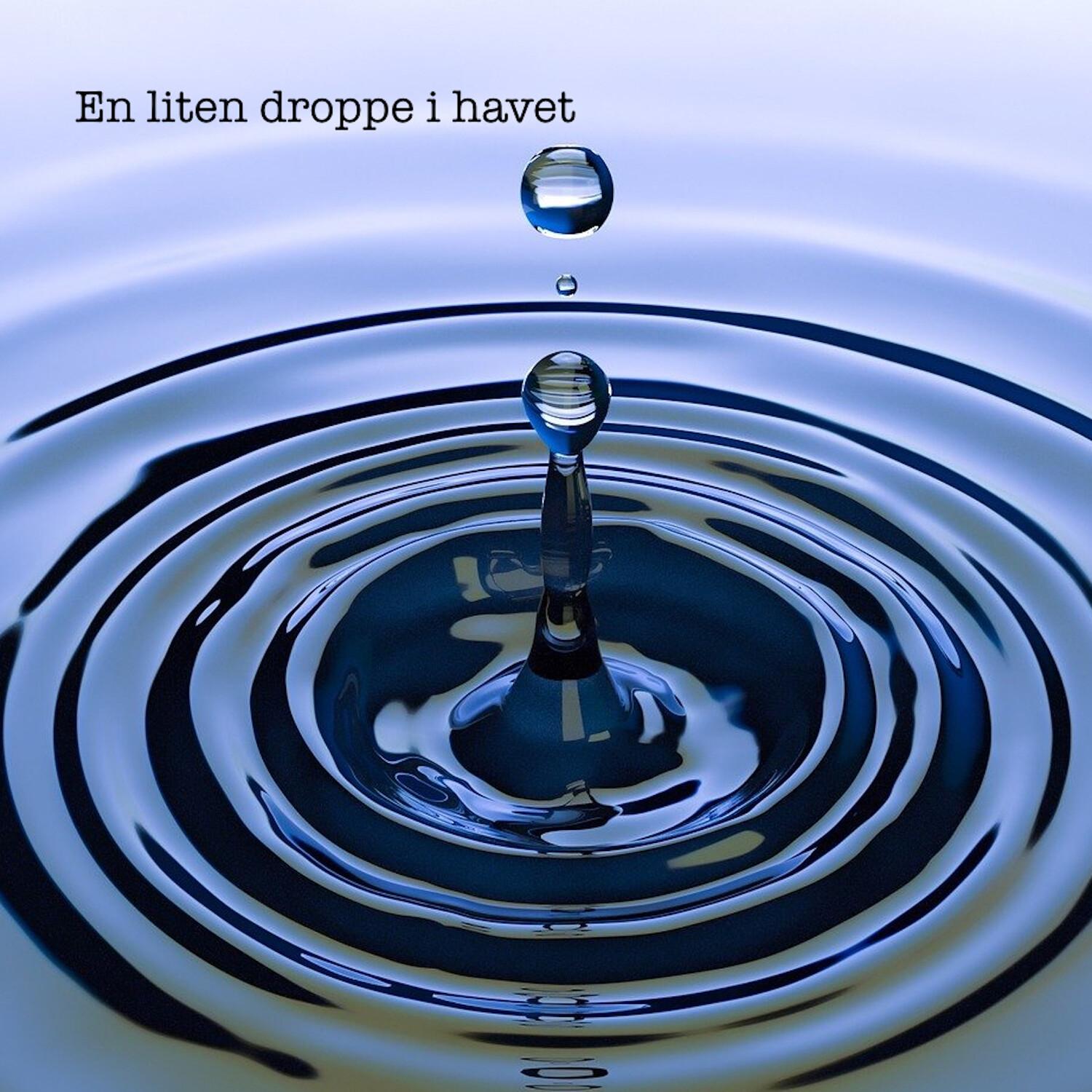 En liten droppe i havet