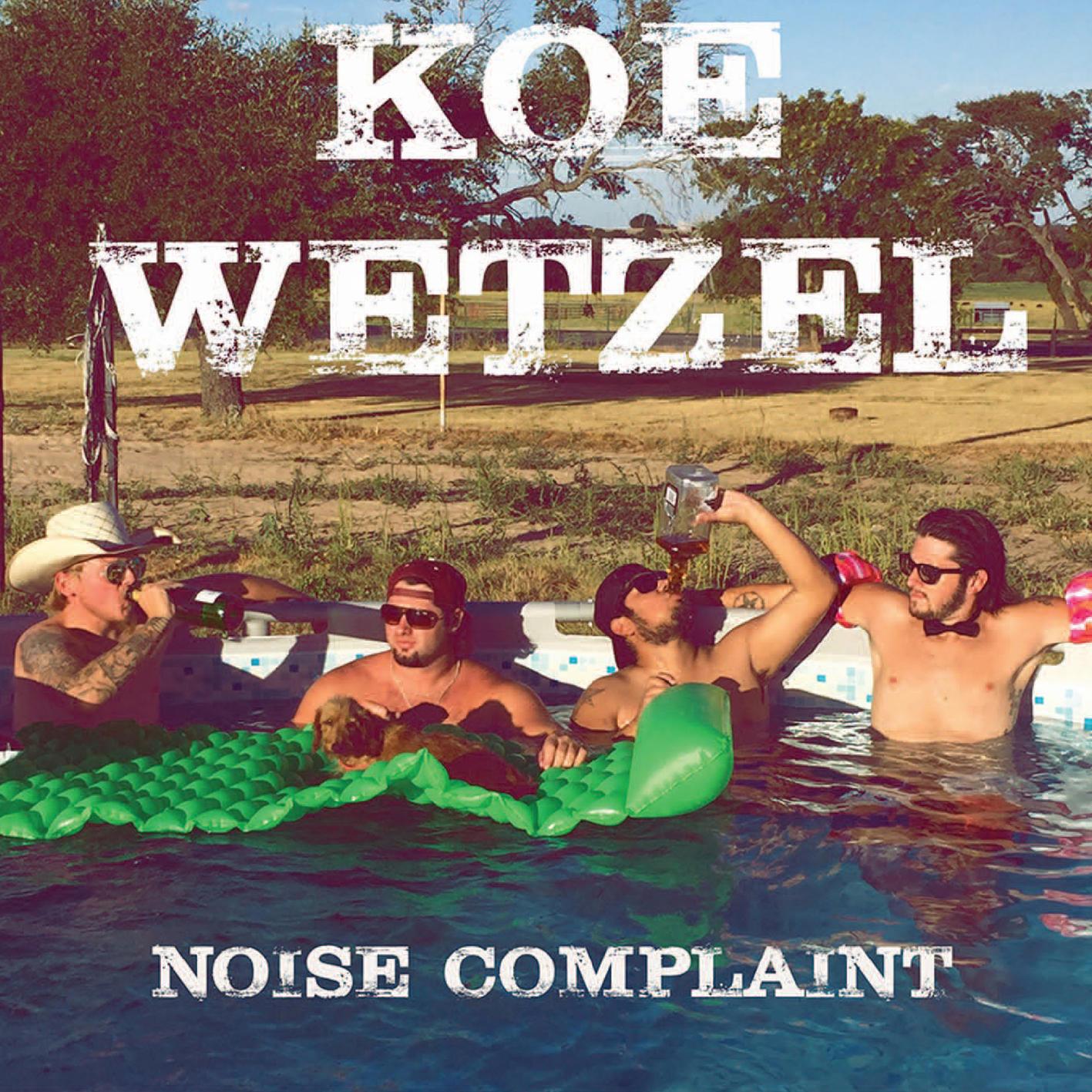 Noise Complaint