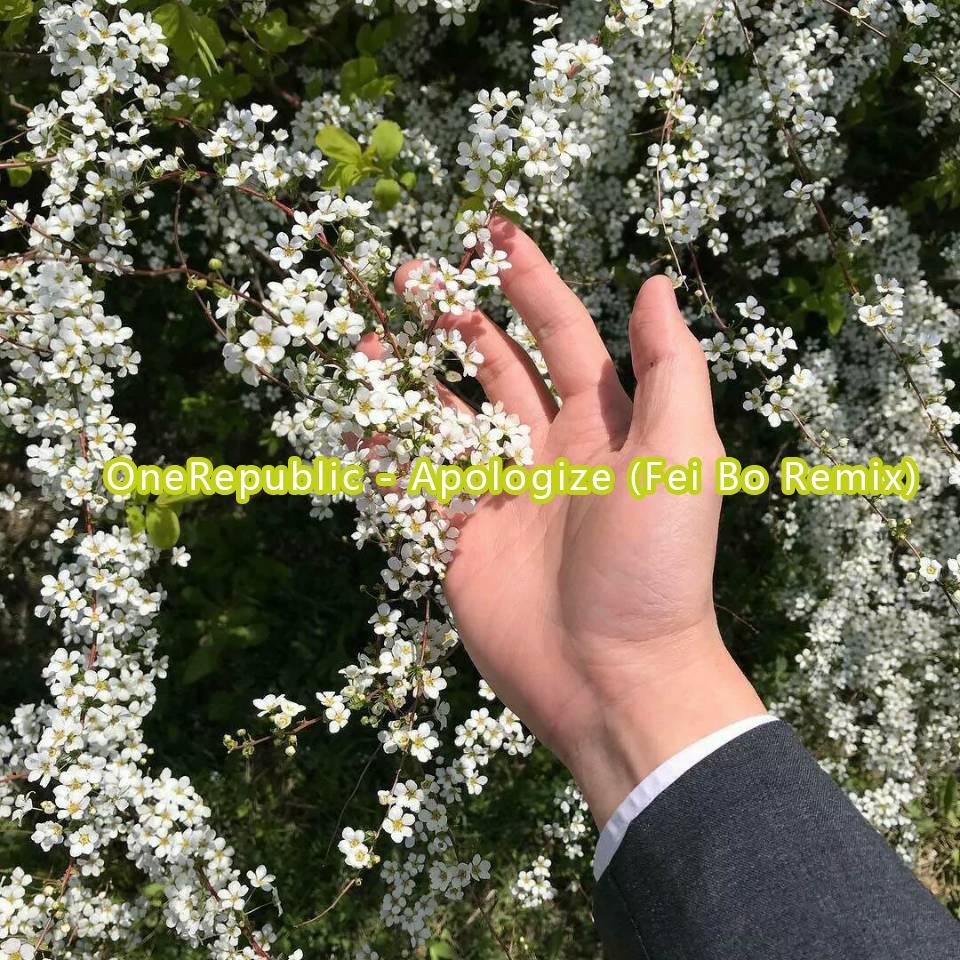 OneRepublic-Apologize（Fei Bo remix）