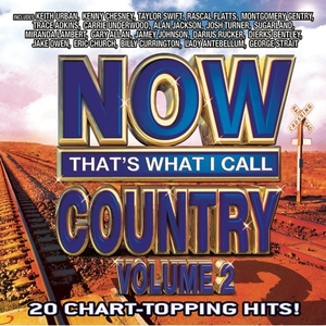 Roll with Me - Montgomery Gentry (SC karaoke) 带和声伴奏 （升6半音）