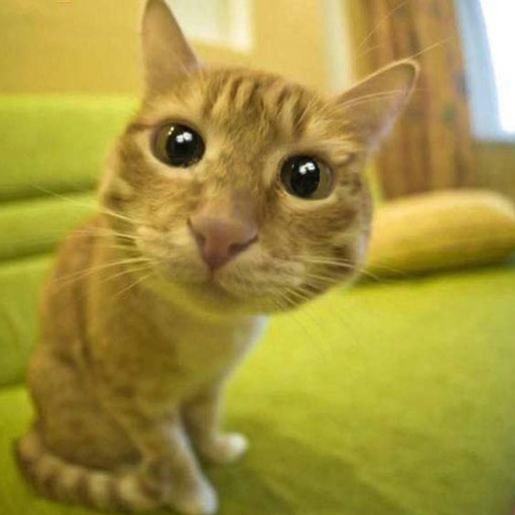 ♪♫♬精选百首神级节奏英文单曲♪♫♬ | 在线播放 | 网易云音乐