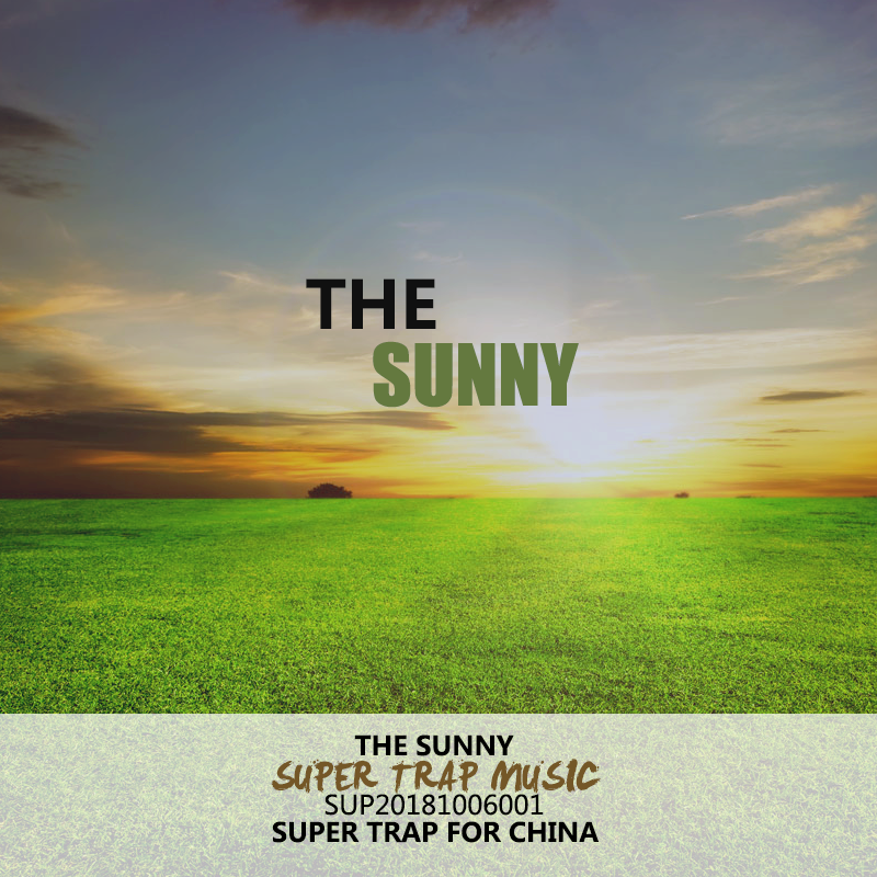 The Sunny专辑