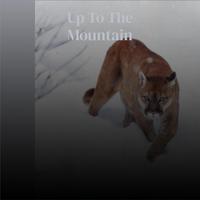 Up To The Mountain - Susan Boyle (karaoke 3)