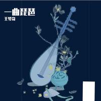 一曲琵琶 DJ名龙版（高品质伴奏 阿悠悠）