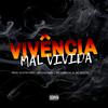 Mc Lorin da Zl - Vivência Mal Vivida