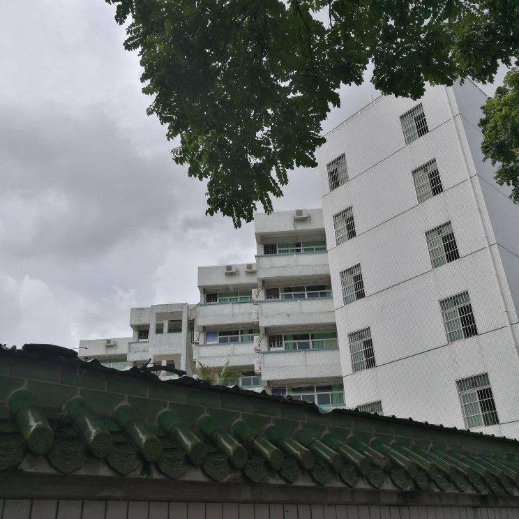 小学五年级下册音乐课本