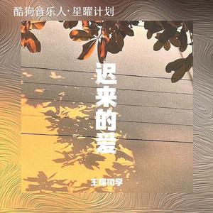 王琛同学 - 迟来的爱 （降8半音）