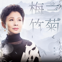 董文华 - 梅兰竹菊 伴奏纯伴奏