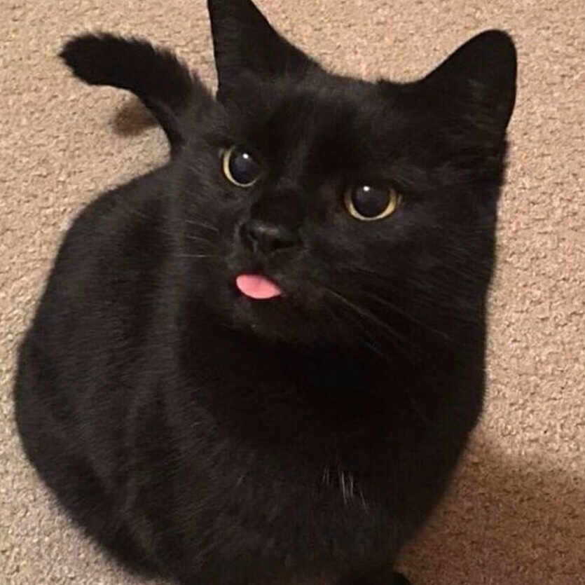 FREE“trouble life”-HyperPop X Glaive Type Beat