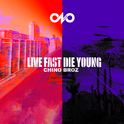 Live Fast Die Young专辑