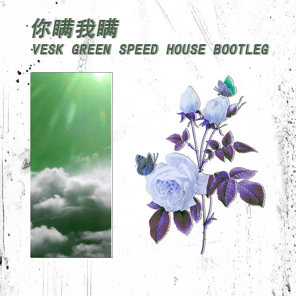 你瞒我瞒 (VESK GREEN SPEED HOUSE BOOTLEG)