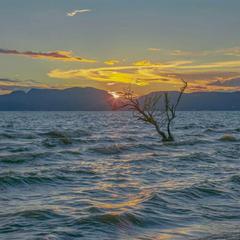 浪花旅行