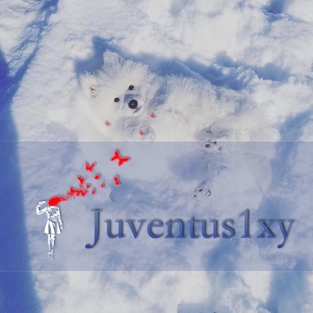 蓝黛 - Juventus1xy 2019专辑