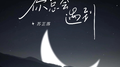 你总会遇到专辑