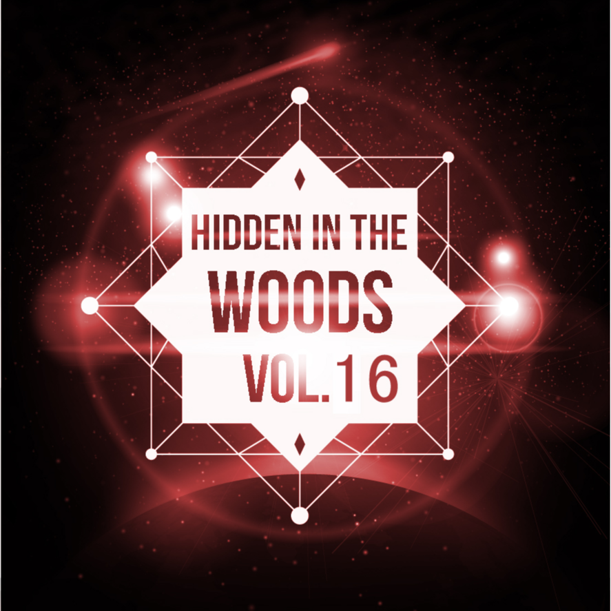 Hidden In The Woods Vol.16专辑