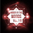 Hidden In The Woods Vol.16