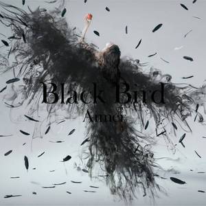 Black Bird （升5半音）