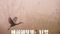 云与青春专辑