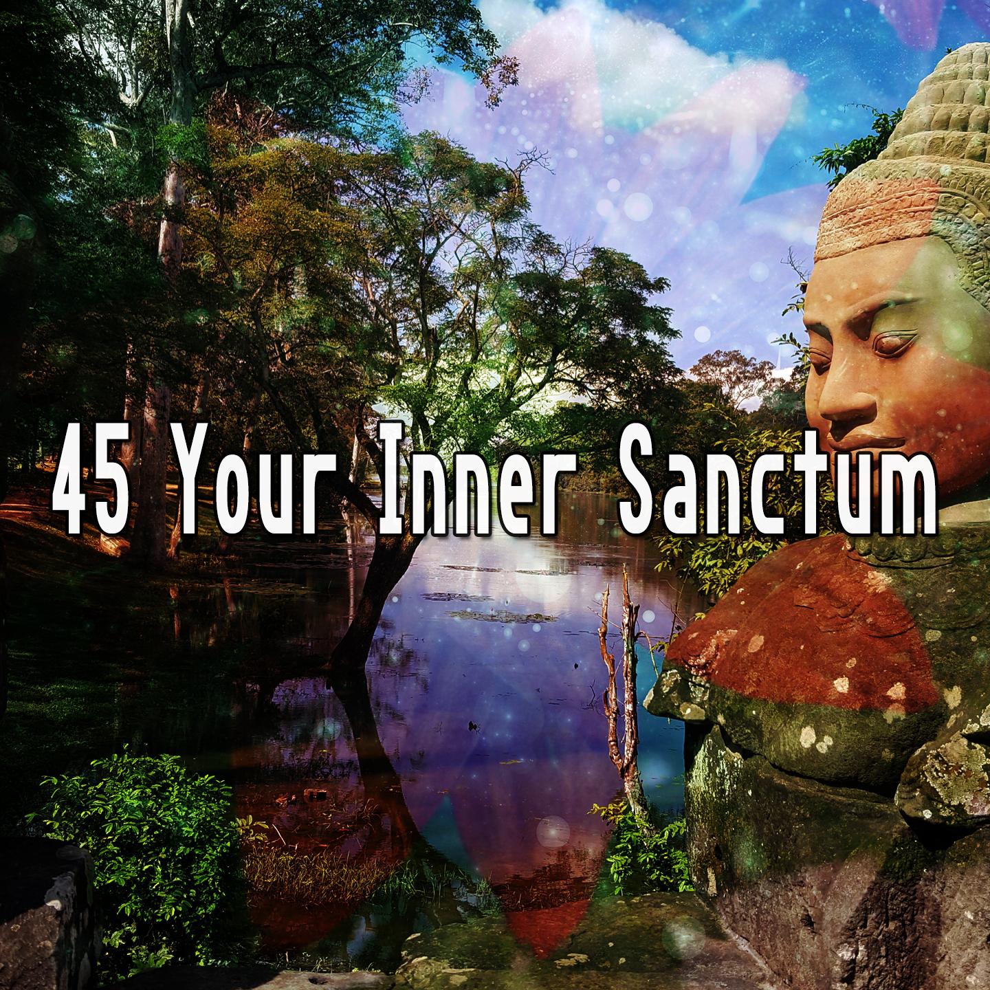 45 Your Inner Sanctum专辑