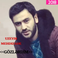 Gozlerdim