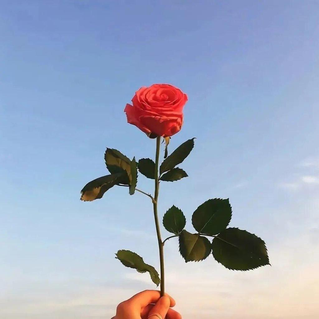 我喜欢的音乐