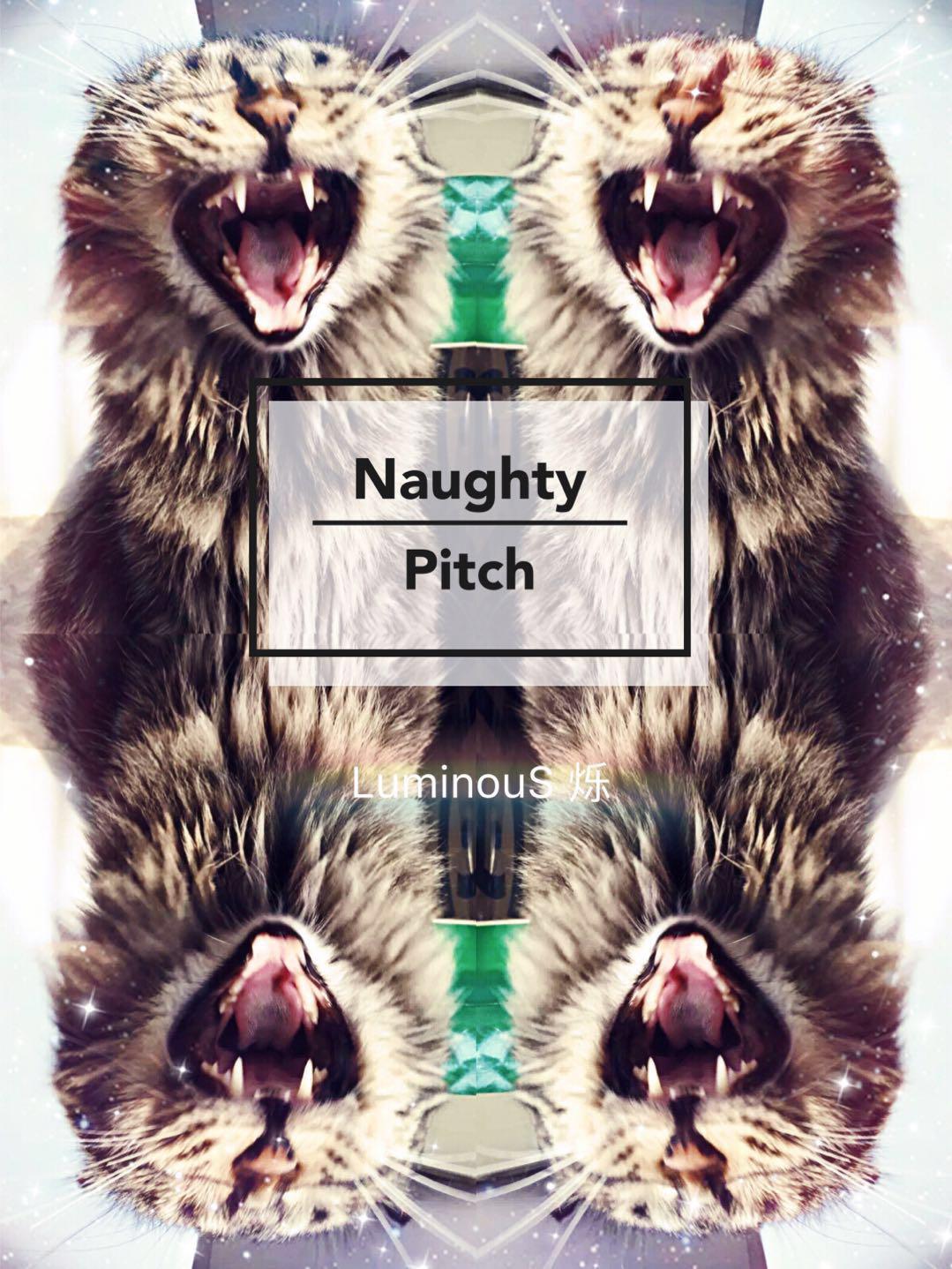 naughty pitch专辑