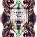 naughty pitch