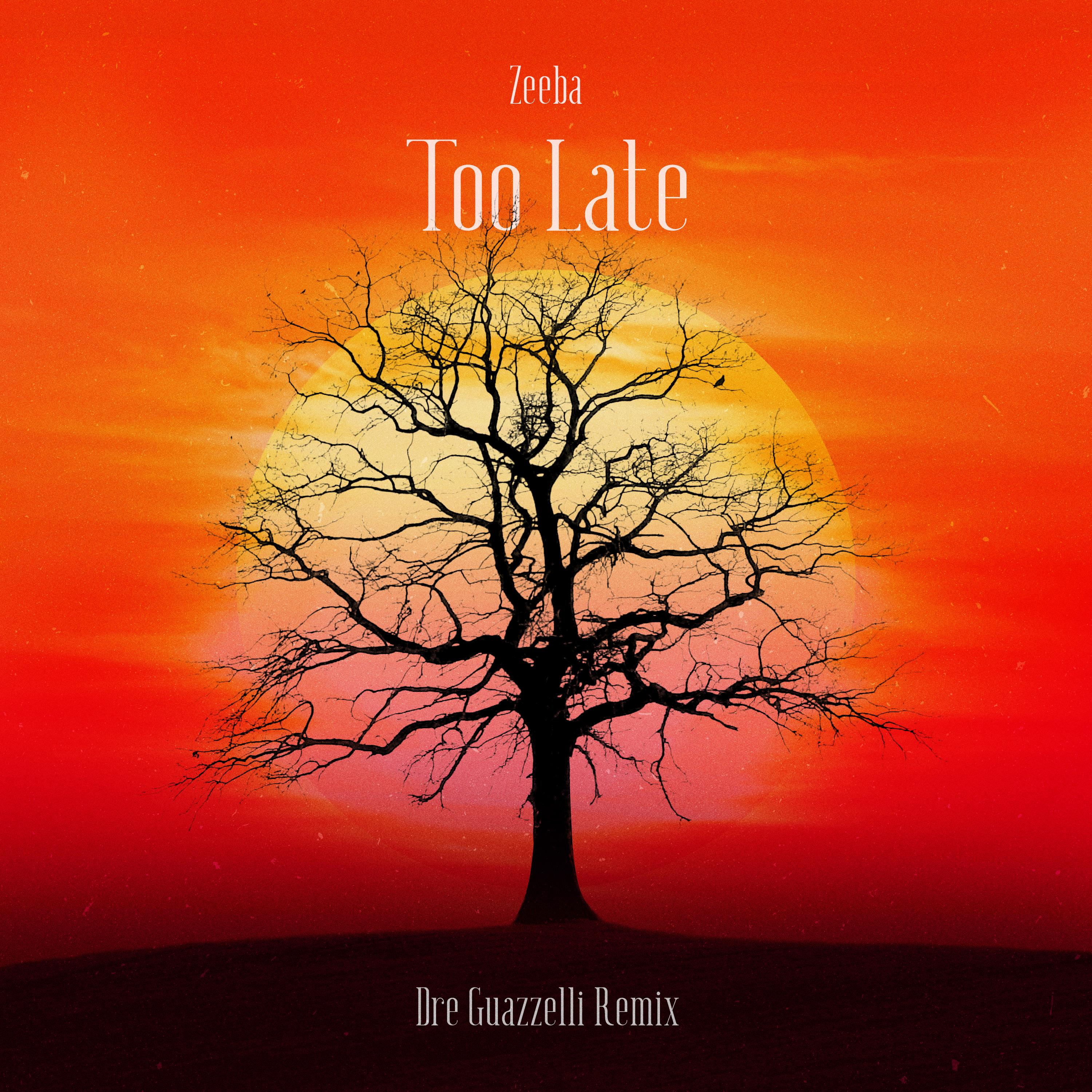 Too Late (Dre Guazzelli Remix)