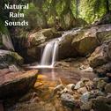 08 Nature Sounds, Rain Sounds and Sleep Therapy专辑