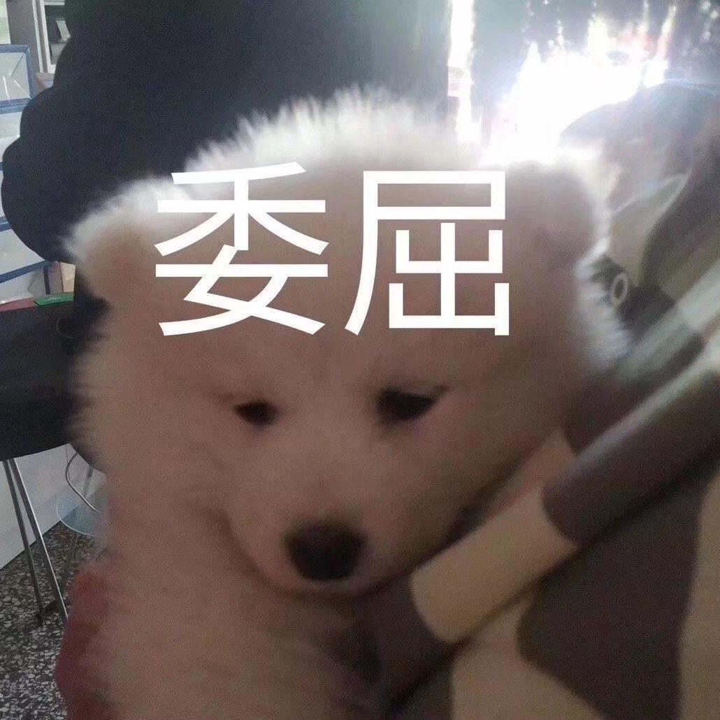 早上好，不好也行，随便你