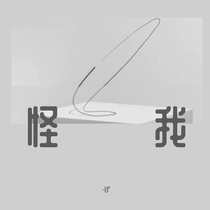 怪我