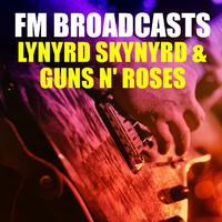 Don't Ask Me No Questions - Lynyrd Skynyrd (karaoke)