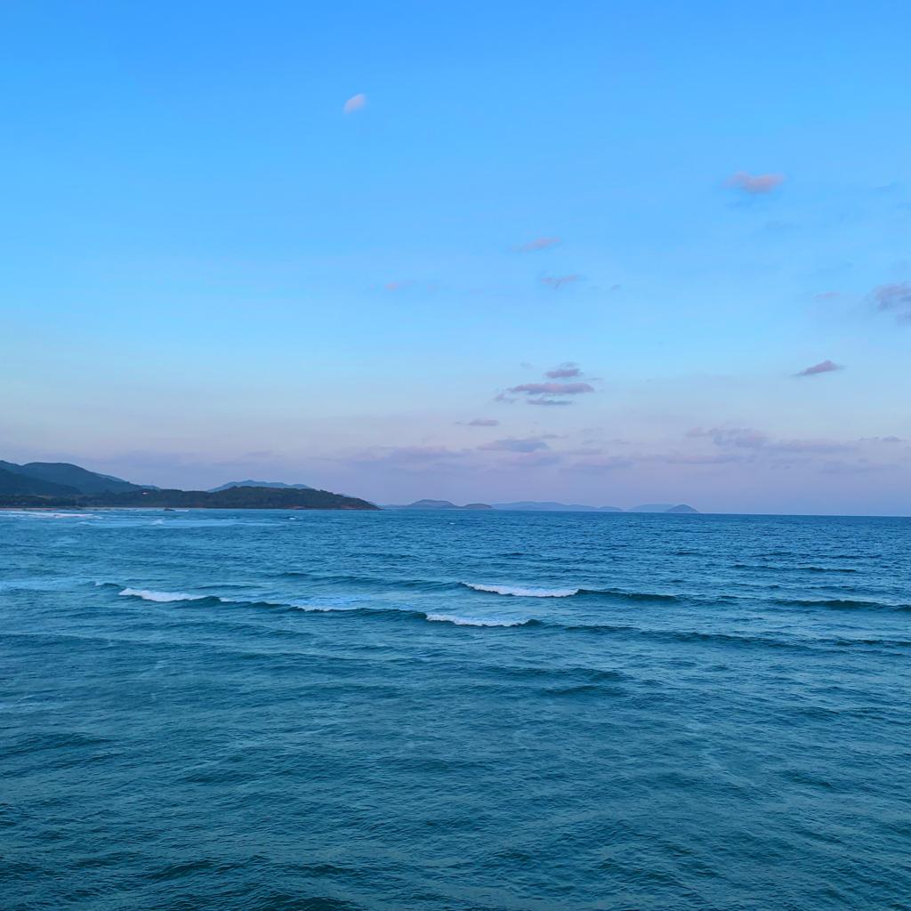 Ocean Night