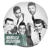 Blue Moon - The Marcels ( Karaoke )