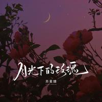 苏星婕 - 月光下的玫瑰